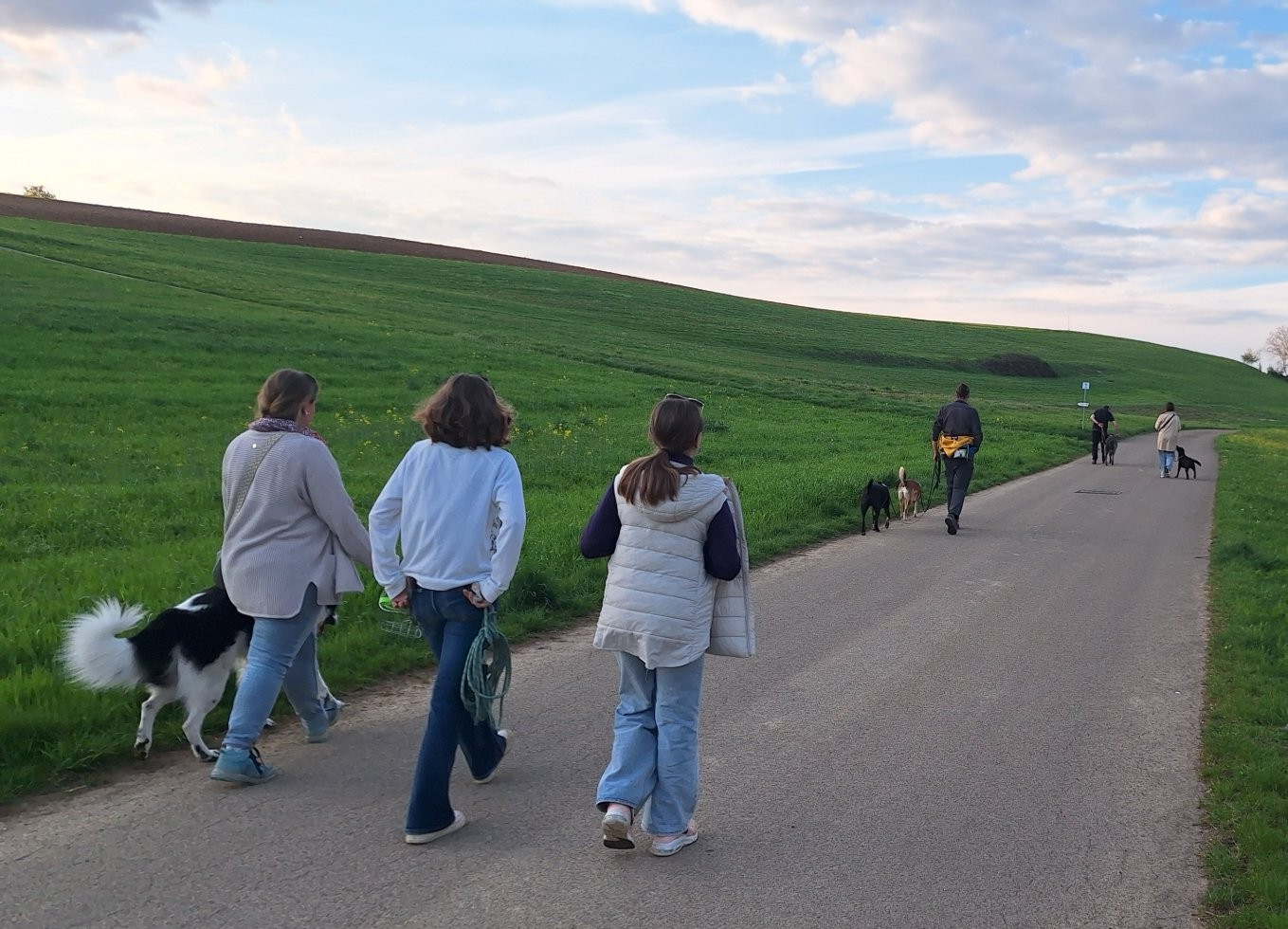Social Walk: gemeinsam, aber in Ruhe