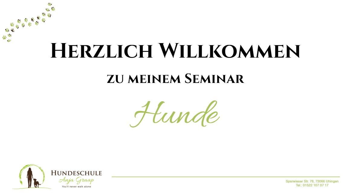 Bild Seminare